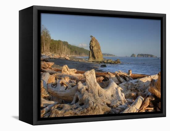 Seastack and James Island, Rialto Beach, Olympic National Park, Washington, USA-Jamie & Judy Wild-Framed Premier Image Canvas