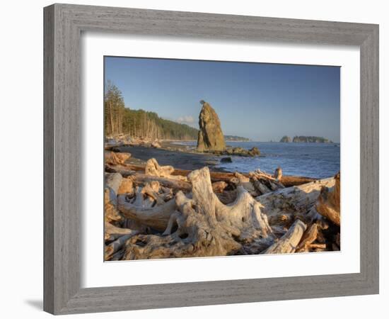 Seastack and James Island, Rialto Beach, Olympic National Park, Washington, USA-Jamie & Judy Wild-Framed Photographic Print