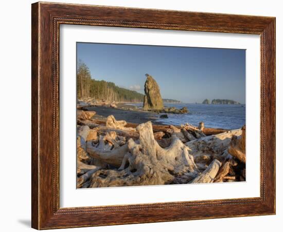 Seastack and James Island, Rialto Beach, Olympic National Park, Washington, USA-Jamie & Judy Wild-Framed Photographic Print