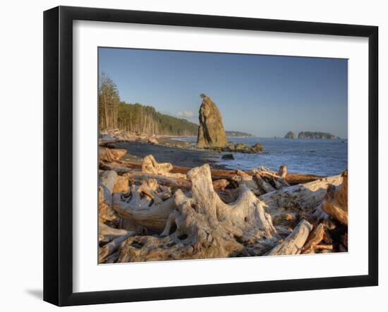 Seastack and James Island, Rialto Beach, Olympic National Park, Washington, USA-Jamie & Judy Wild-Framed Photographic Print