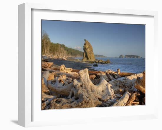 Seastack and James Island, Rialto Beach, Olympic National Park, Washington, USA-Jamie & Judy Wild-Framed Photographic Print