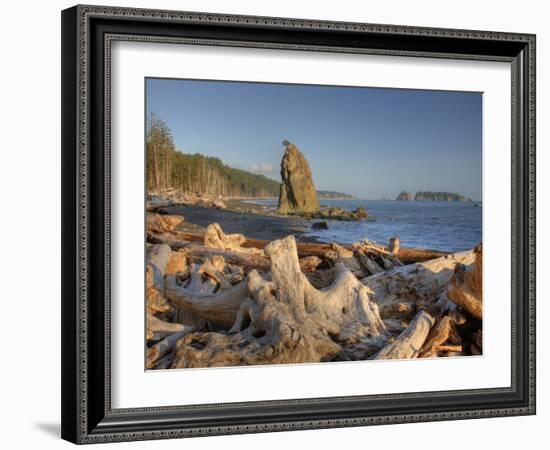 Seastack and James Island, Rialto Beach, Olympic National Park, Washington, USA-Jamie & Judy Wild-Framed Photographic Print