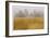 Seastacks and Fog-Donald Paulson-Framed Giclee Print