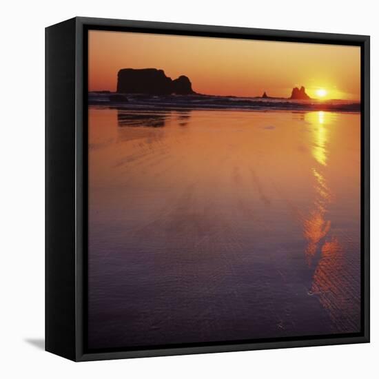 Seastacks at sunset, Olympic National Park, Washington, USA-Charles Gurche-Framed Premier Image Canvas