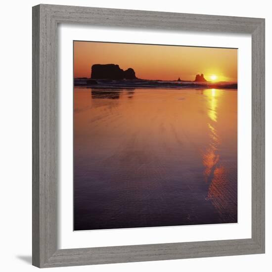 Seastacks at sunset, Olympic National Park, Washington, USA-Charles Gurche-Framed Photographic Print