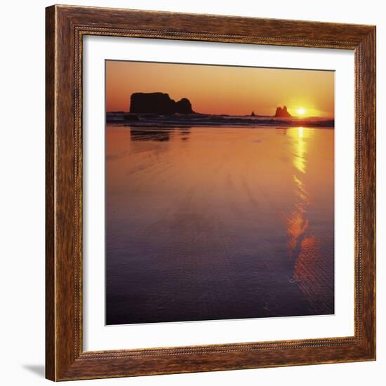 Seastacks at sunset, Olympic National Park, Washington, USA-Charles Gurche-Framed Photographic Print