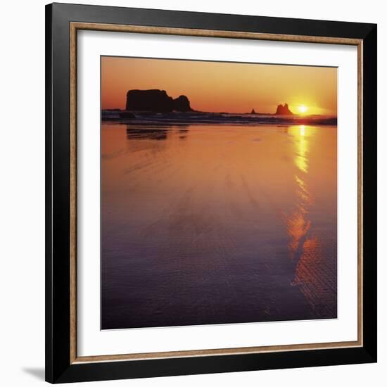 Seastacks at sunset, Olympic National Park, Washington, USA-Charles Gurche-Framed Photographic Print