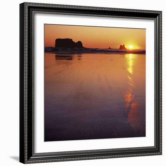 Seastacks at sunset, Olympic National Park, Washington, USA-Charles Gurche-Framed Photographic Print
