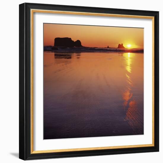 Seastacks at sunset, Olympic National Park, Washington, USA-Charles Gurche-Framed Photographic Print