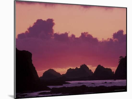 Seastacks at Sunset, Rialto Beach, Olympic National Park, Washington, USA-null-Mounted Photographic Print