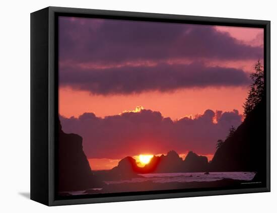 Seastacks at Sunset, Rialto Beach, Olympic National Park, Washington, USA-null-Framed Premier Image Canvas