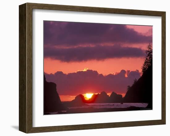 Seastacks at Sunset, Rialto Beach, Olympic National Park, Washington, USA-null-Framed Photographic Print