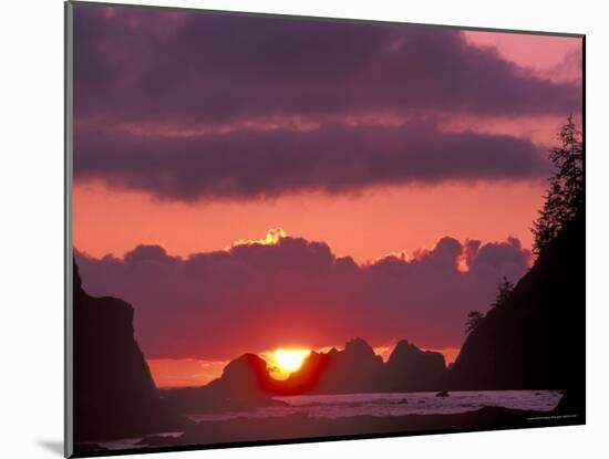 Seastacks at Sunset, Rialto Beach, Olympic National Park, Washington, USA-null-Mounted Photographic Print