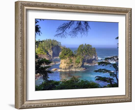 Seastacks, Makah Nation Tribal Lands, Cape Flattery, Washington, USA-Jamie & Judy Wild-Framed Photographic Print