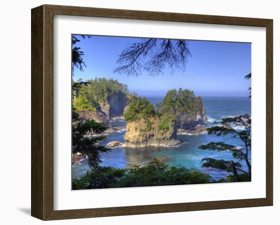 Seastacks, Makah Nation Tribal Lands, Cape Flattery, Washington, USA-Jamie & Judy Wild-Framed Photographic Print