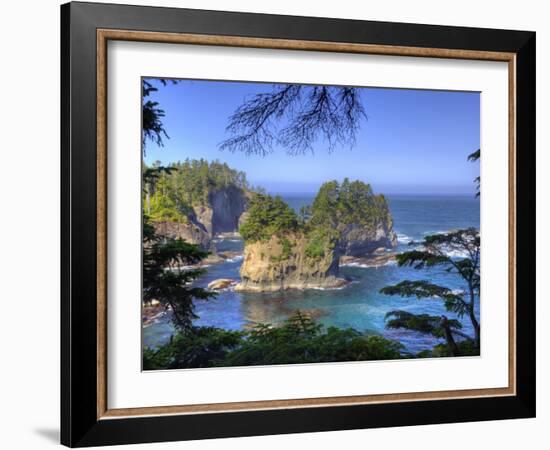 Seastacks, Makah Nation Tribal Lands, Cape Flattery, Washington, USA-Jamie & Judy Wild-Framed Photographic Print