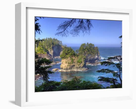 Seastacks, Makah Nation Tribal Lands, Cape Flattery, Washington, USA-Jamie & Judy Wild-Framed Photographic Print