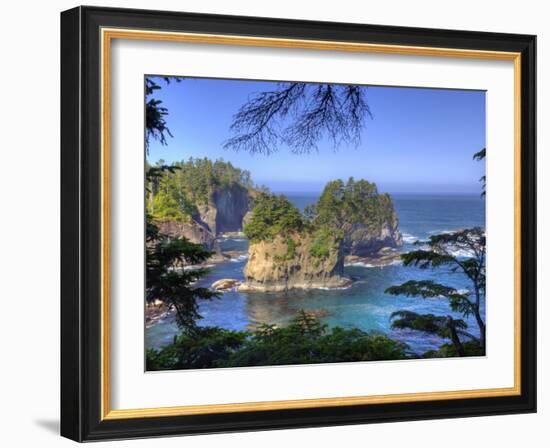 Seastacks, Makah Nation Tribal Lands, Cape Flattery, Washington, USA-Jamie & Judy Wild-Framed Photographic Print