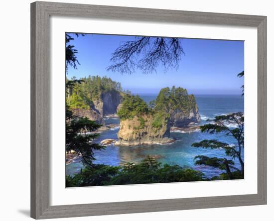 Seastacks, Makah Nation Tribal Lands, Cape Flattery, Washington, USA-Jamie & Judy Wild-Framed Photographic Print