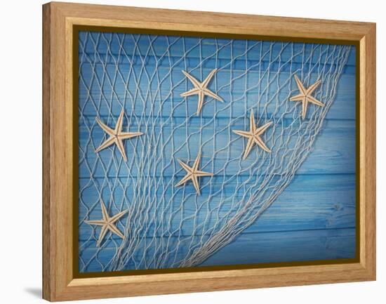 Seastars on the Fishing Net on a Blue Background-egal-Framed Premier Image Canvas