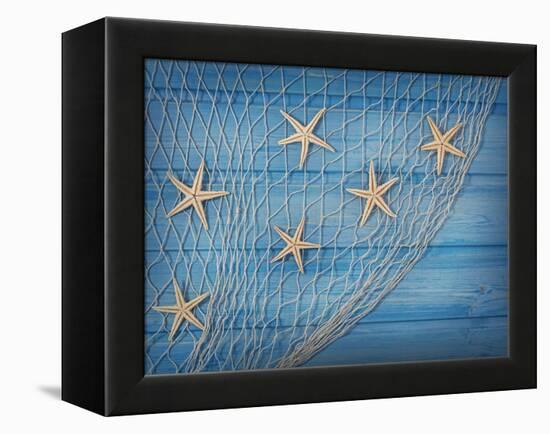 Seastars on the Fishing Net on a Blue Background-egal-Framed Premier Image Canvas