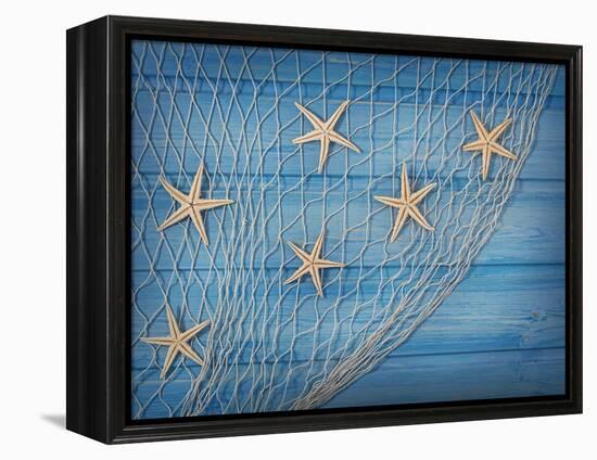 Seastars on the Fishing Net on a Blue Background-egal-Framed Premier Image Canvas