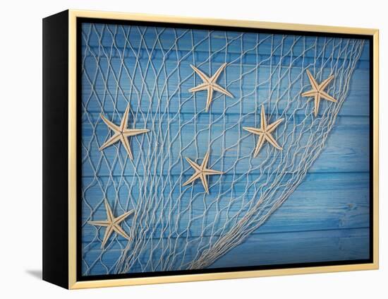 Seastars on the Fishing Net on a Blue Background-egal-Framed Premier Image Canvas