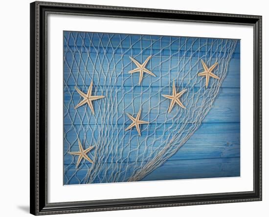 Seastars on the Fishing Net on a Blue Background-egal-Framed Photographic Print