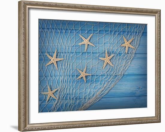 Seastars on the Fishing Net on a Blue Background-egal-Framed Photographic Print