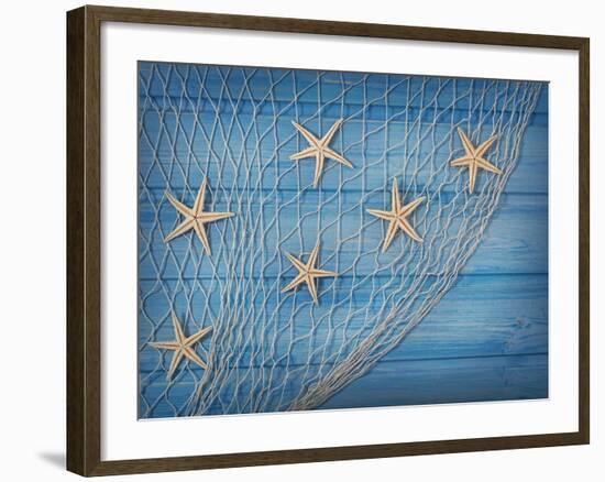 Seastars on the Fishing Net on a Blue Background-egal-Framed Photographic Print