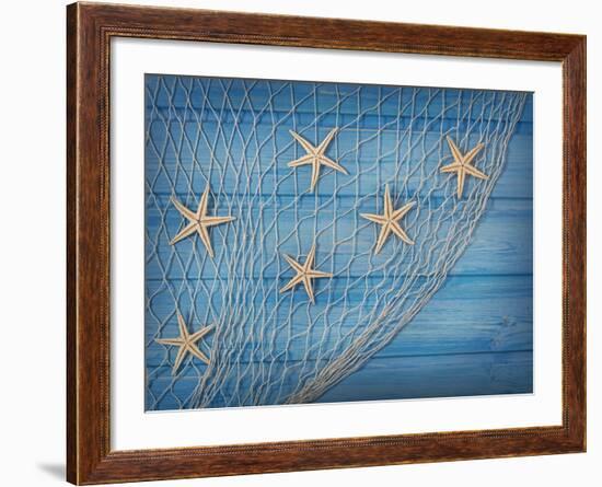 Seastars on the Fishing Net on a Blue Background-egal-Framed Photographic Print