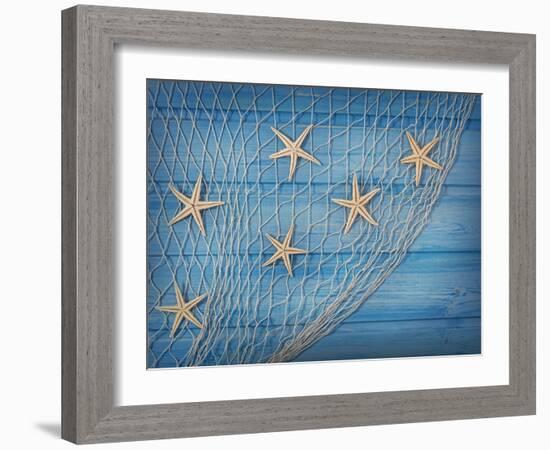 Seastars on the Fishing Net on a Blue Background-egal-Framed Photographic Print