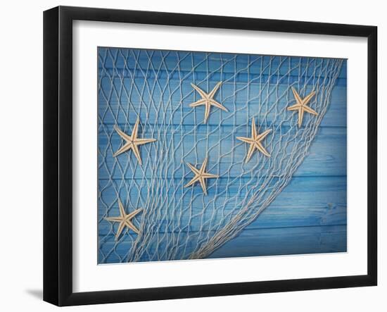 Seastars on the Fishing Net on a Blue Background-egal-Framed Photographic Print