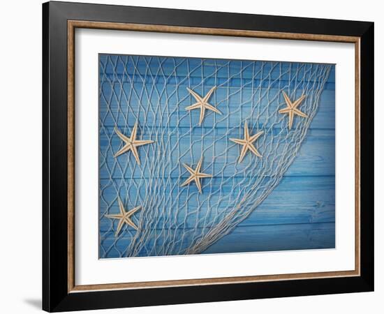 Seastars on the Fishing Net on a Blue Background-egal-Framed Photographic Print