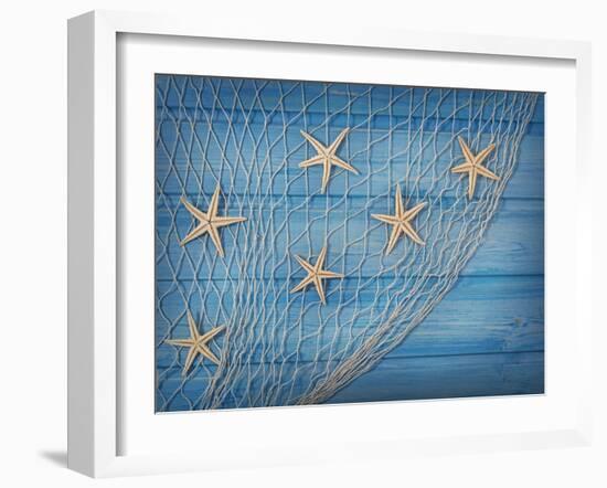 Seastars on the Fishing Net on a Blue Background-egal-Framed Photographic Print