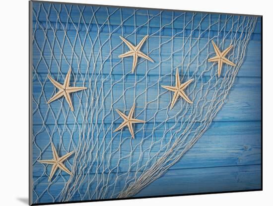 Seastars on the Fishing Net on a Blue Background-egal-Mounted Photographic Print