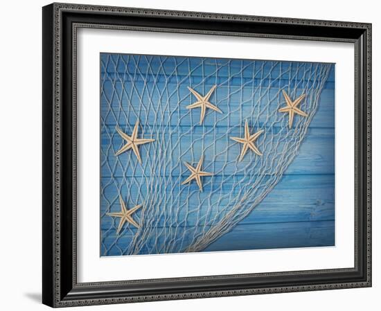 Seastars on the Fishing Net on a Blue Background-egal-Framed Photographic Print