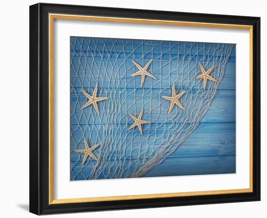 Seastars on the Fishing Net on a Blue Background-egal-Framed Photographic Print