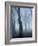 Seaswarm-Craig Roberts-Framed Photographic Print