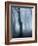 Seaswarm-Craig Roberts-Framed Photographic Print