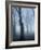 Seaswarm-Craig Roberts-Framed Photographic Print