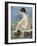 Seated Bather-Pierre-Auguste Renoir-Framed Giclee Print