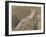 Seated, Drapery Study (Plato for "Death of Socrates")-Jacques-Louis David-Framed Giclee Print