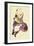 Seated Girl with Striped Stockings-Egon Schiele-Framed Giclee Print