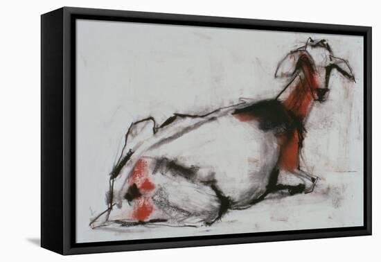 Seated Goat, 1998 (Conte and Charcoal on Paper)-Mark Adlington-Framed Premier Image Canvas