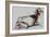 Seated Goat, 1998 (Conte and Charcoal on Paper)-Mark Adlington-Framed Giclee Print