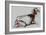 Seated Goat, 1998 (Conte and Charcoal on Paper)-Mark Adlington-Framed Giclee Print