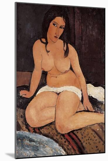 Seated Nude, 1917-Amedeo Modigliani-Mounted Giclee Print