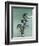 Seated Nude, 1979-Stephen Finer-Framed Giclee Print