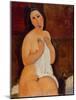 Seated Nude with a Shirt, 1917 (Oil on Canvas)-Amedeo Modigliani-Mounted Giclee Print